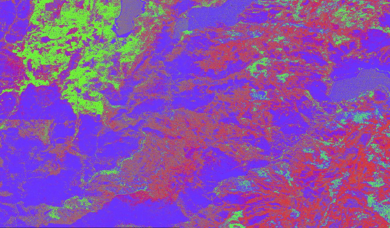 A processed, false-color version of the previous aerial image, highlighting healthy conifers in green, conifers under stress in red, and other vegetation in blue